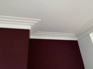 project images